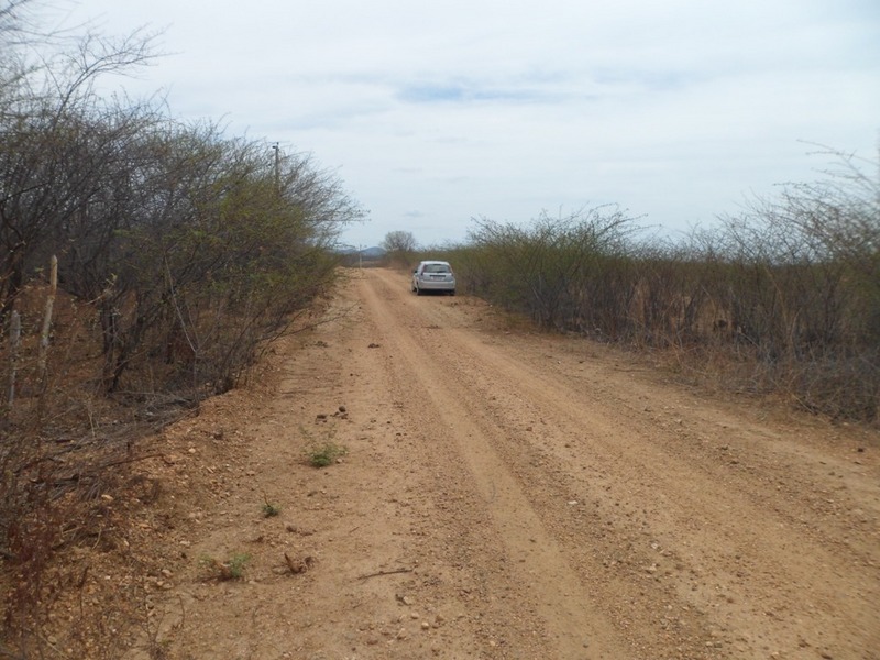 Parei o carro a 138 metros do ponto exato - I stopped the car 138 meters to the exact point