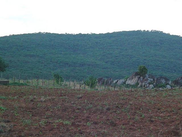 General View To Confluence