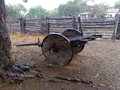 #7: An antique ox cart seen near 7s x 43w