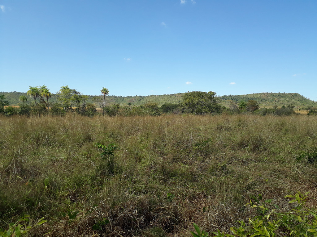 Visão sul - south view