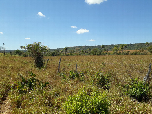 #1: Visão geral - general view