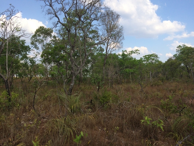 Visão leste - east view