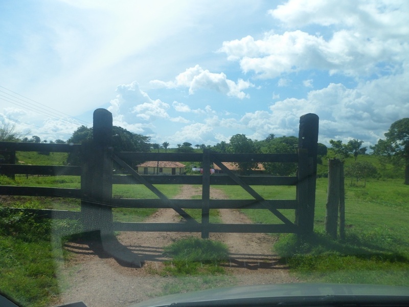 Sede da fazenda - confluência 2.500 metros adiante - Farmhouse - confluence 2,500 meters ahead