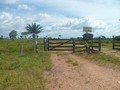 #2: Entrada da fazenda - Farm entrance