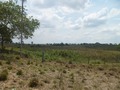 #2: Visão oeste - west view