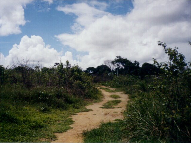 The track 5 meters from the confluence.