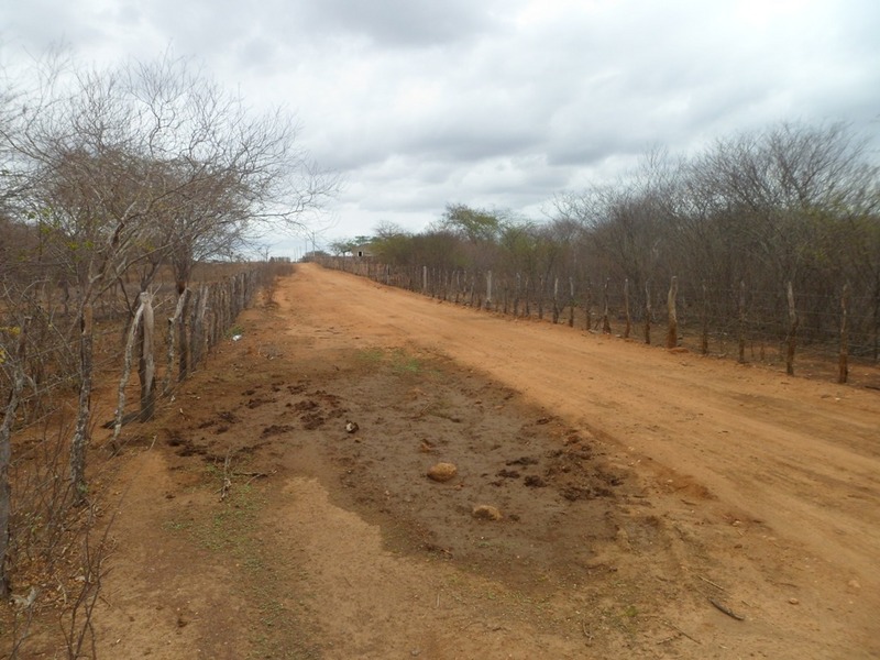 Visão oeste - west view