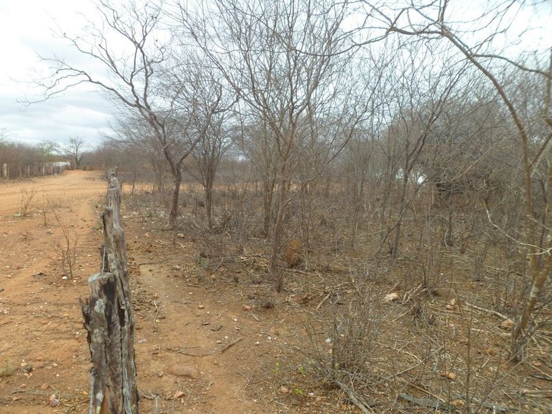 Visão leste - east view