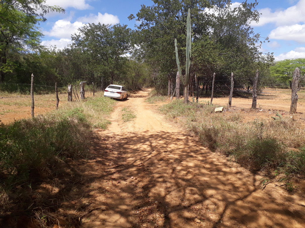 Paramos o carro a 490 metros da confluência - we stopped the car 490 meters to the confluence