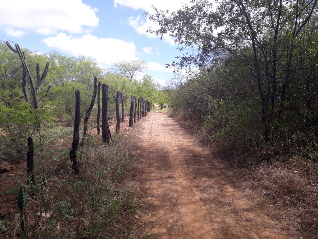 Caminhada até a confluência - hiking to the confluence