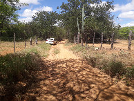 #7: Paramos o carro a 490 metros da confluência - we stopped the car 490 meters to the confluence