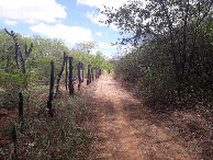 #8: Caminhada até a confluência - hiking to the confluence