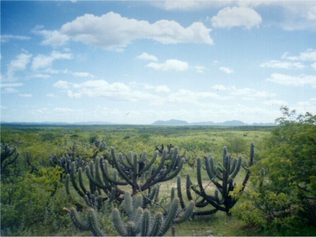 1.5 kilometers away from the confluence