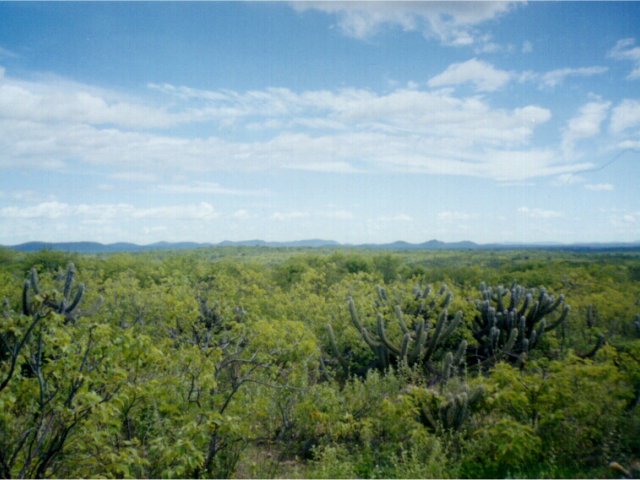 1.5 kilometers away from the confluence