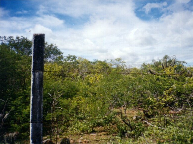 ...to reach the confluence you will also have to climb something like this