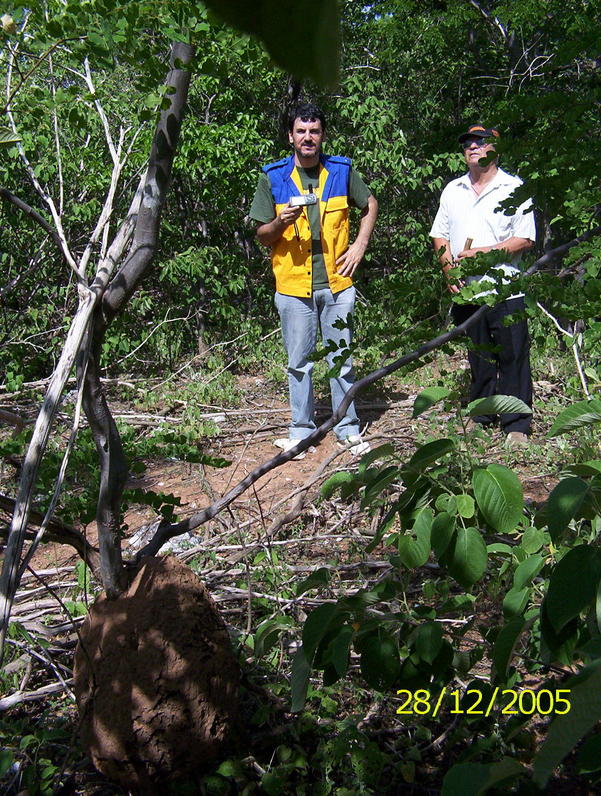 Julio e Seu Waldomiro. Julio and Mr. Waldomiro