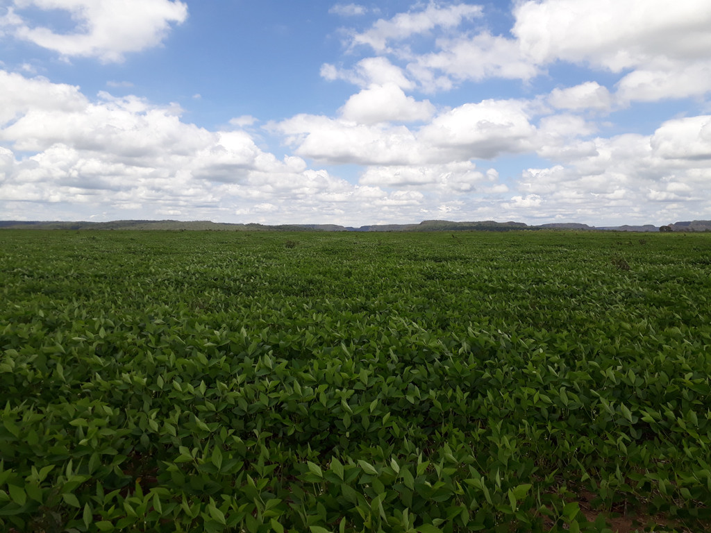 Visão oeste - west view