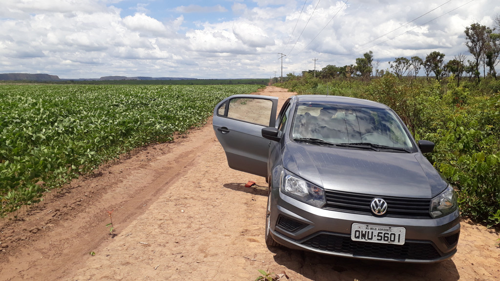 Paramos o carro à beira da plantação e próximo à rodovia - we stopped the car at the edge of the plantation and near the highway