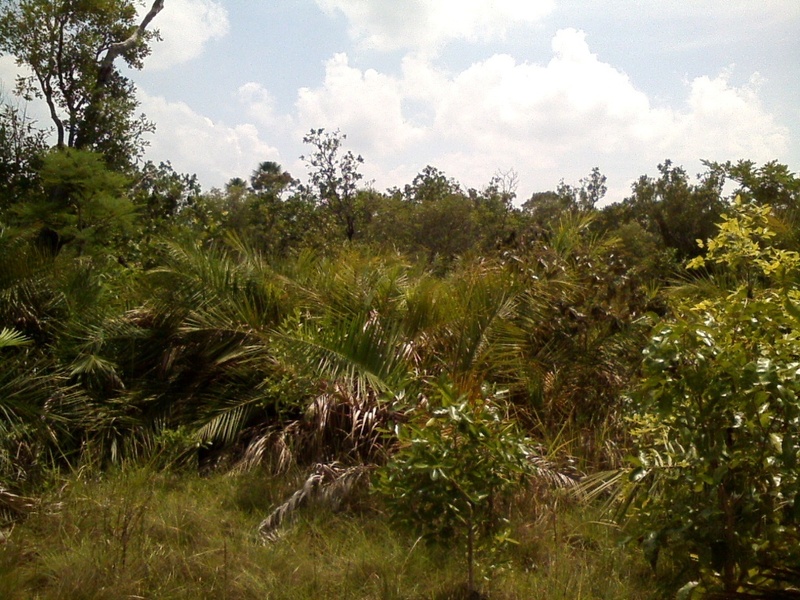 Visão leste - east view