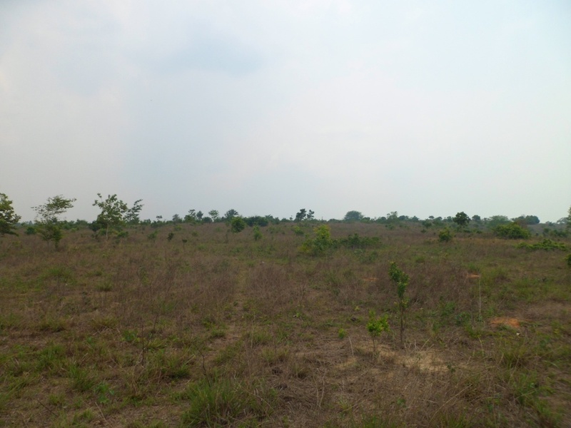 Visão geral - general view