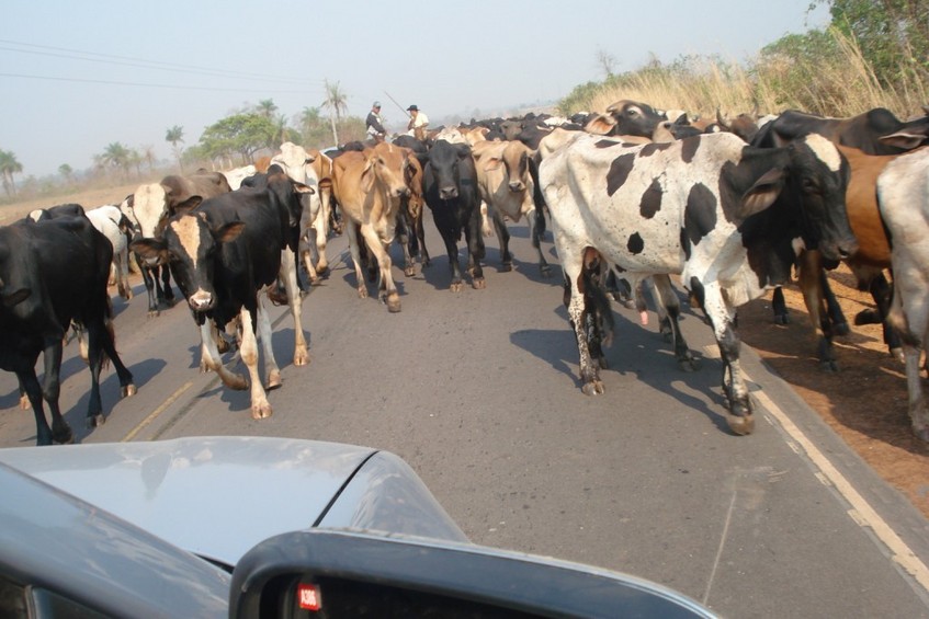 Local traffic, to get to the point