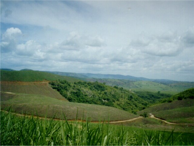 From confluence : Fields and rainforest