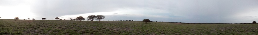 Visada Panorâmica Norte. Panoramic view to north