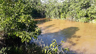 #4: A trilha passa próxima de um rio - the track passes near a river