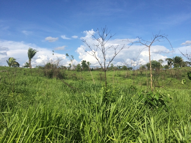 Visão leste - east view