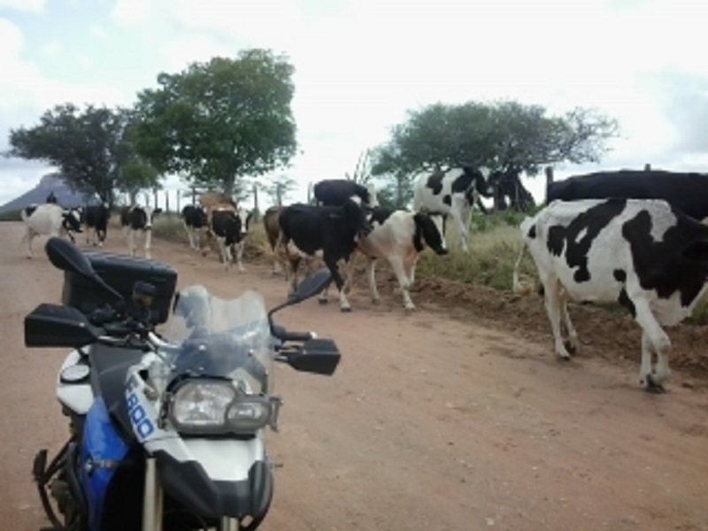 Estradas de acesso à confluência 1. Access road 1 to CP