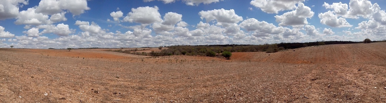 Vista geral da confluência. General view