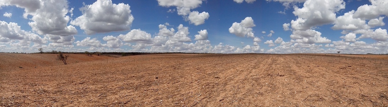 Visada Leste - Panorâmica. Panoramic view to east