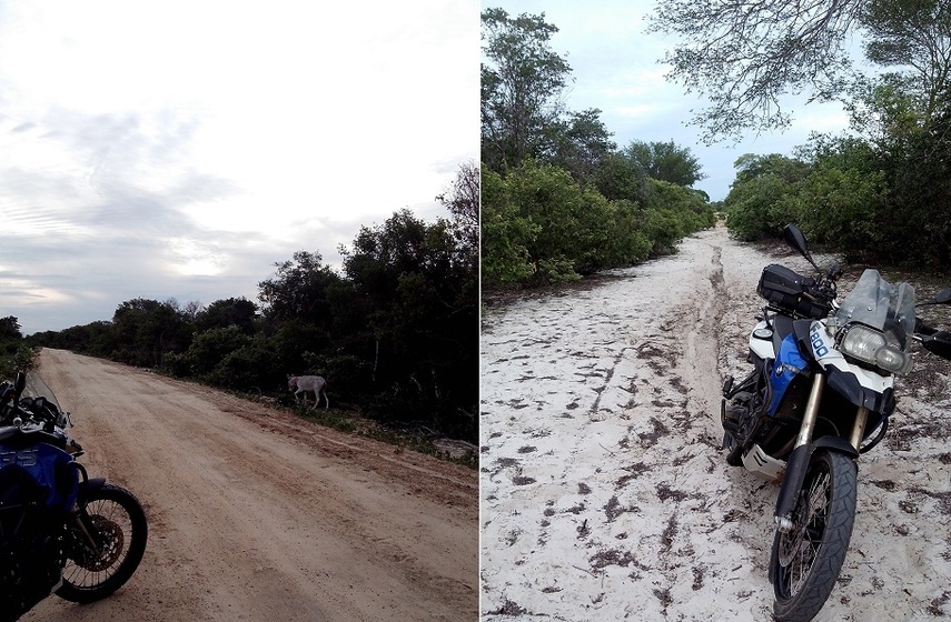 Terra e areia fazem o caminho. Earth and sand make the way