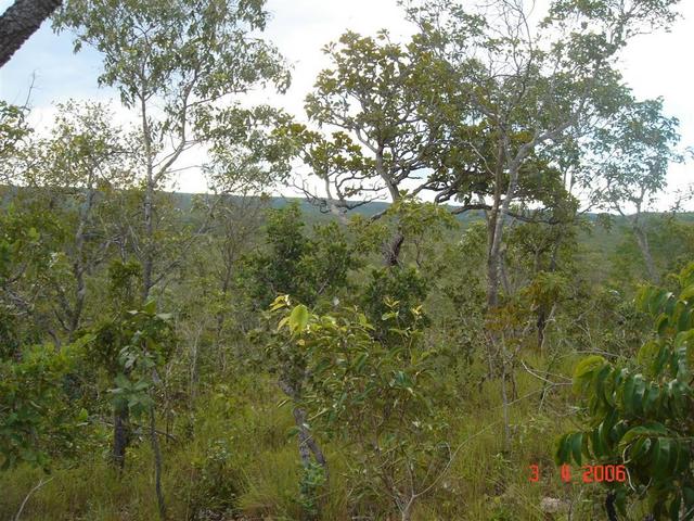 General view of confluence area