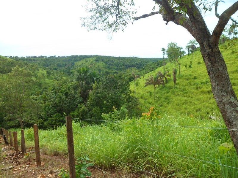 Visão geral - general view