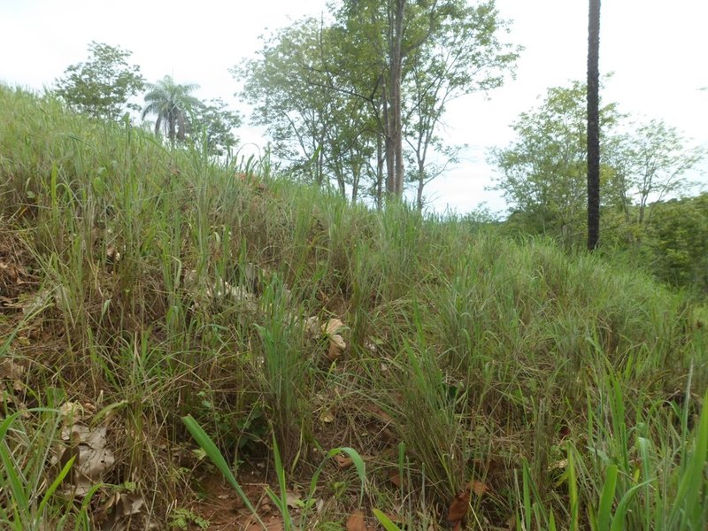 Visão oeste - west view