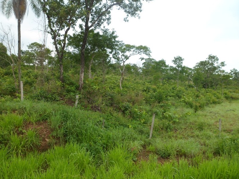 Visão geral - general view