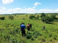 #5: Caminhada até a Confluência. hiking trecking 1