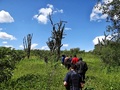 #6: Caminhada até a Confluência. Hiking trecking 2