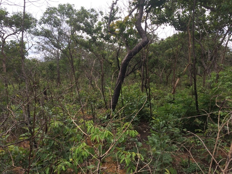 Visão oeste - west view