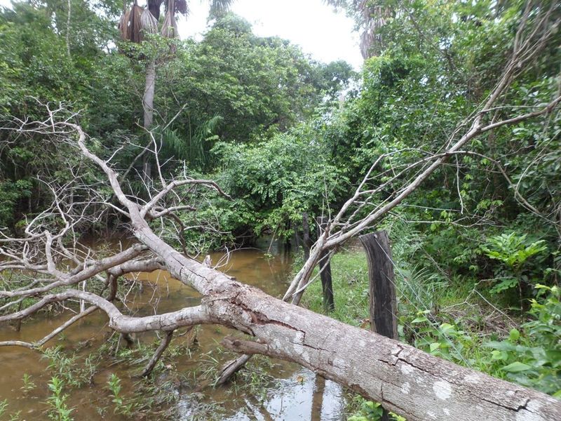 Novo trecho alagado, desta vez sem condições de prosseguir, mesmo a pé - new flooded area, at this time without any conditions to go ahead, even on foot