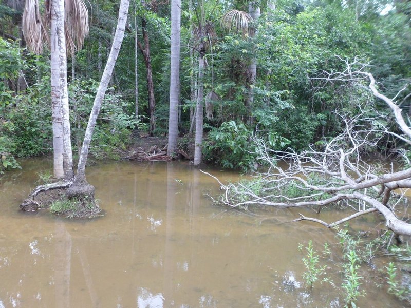 Cheguei a 1.580 metros da confluência - I went up to 1,580 meters to the confluence