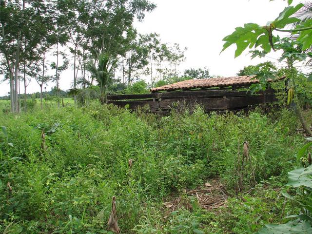 Vista Oeste da Confluência.