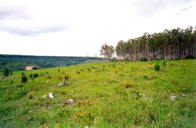 west of confluence