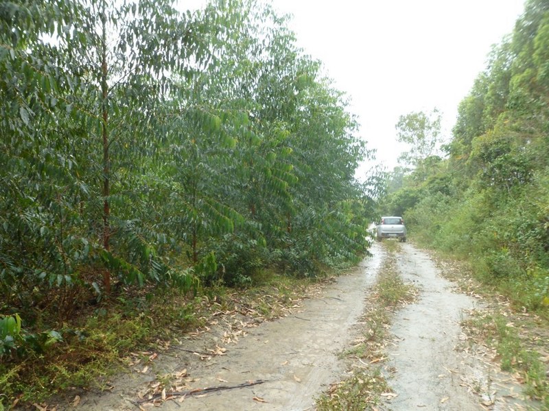 Parei o carro a 50 metros da confluência - I stopped the car 50 meters close to the confluence