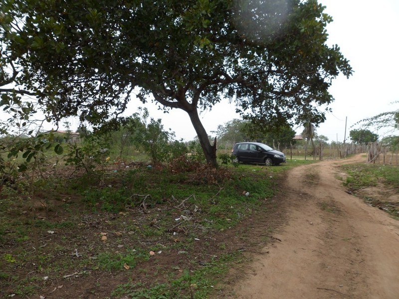 Parei o carro a 207 metros da confluência - car stopped 207 meters to the confluence