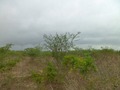 #2: Visão oeste - west view