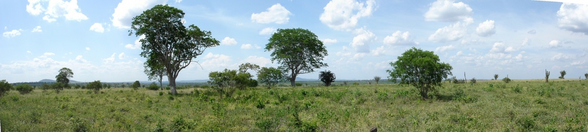 Vista panorâmica Norte