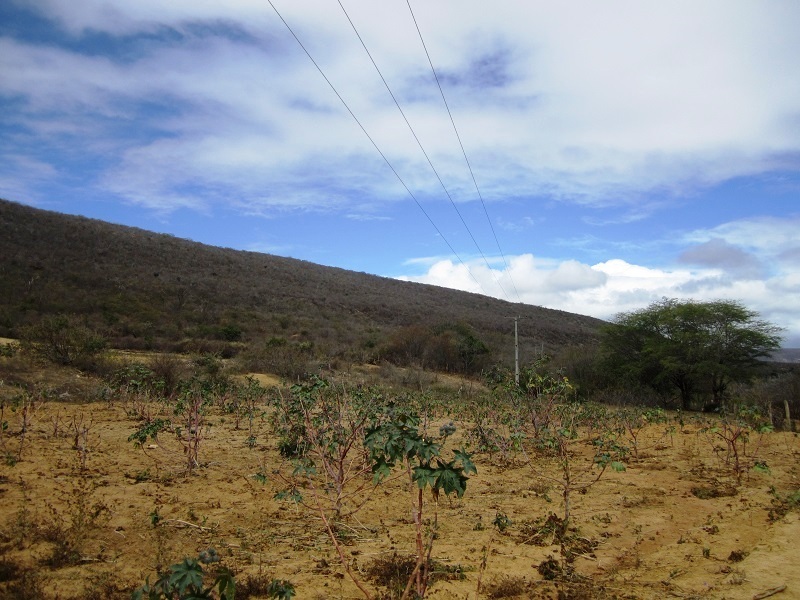 Foto geral da área. General view