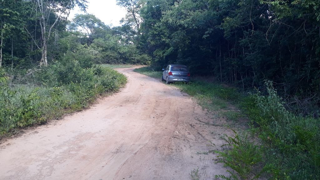 Parei o carro no início da estrada secundária - I stopped the car at the beginning of secondary road